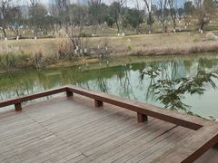 -桂溪生态公园