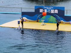 -秦皇岛乐岛海洋王国