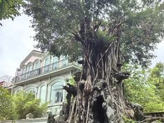 -荔湾博物馆