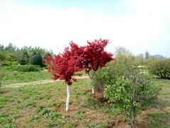 -济南国际园博园