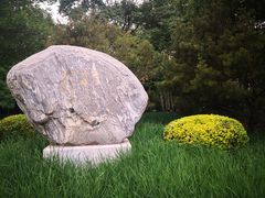 -元大都城垣遗址公园