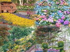 -武汉园博园(武汉自然博物馆)