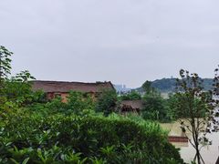 -金海湾滨江公园