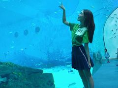 餐饮设施-上海海昌海洋公园