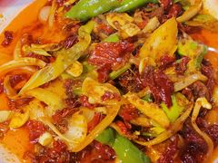 -柴窝堡22号辣子鸡·传承新疆菜