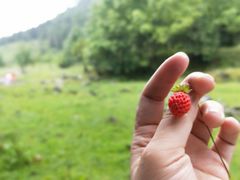 -硗碛藏寨·神木垒景区