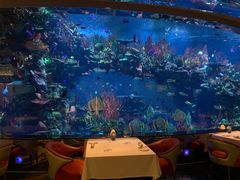 -迪拜帆船酒店海底餐厅