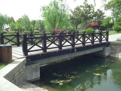 -上海鲜花港