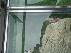 -罗田天堂寨风景区