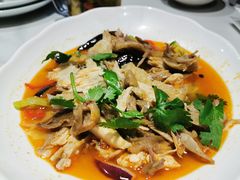 手撕椒麻鸡-伊祥·敦煌楼