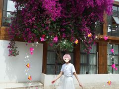 -三圣花乡旅游区