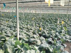 -上膳源有机农场