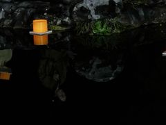 -杭州西湖柳莺里酒店