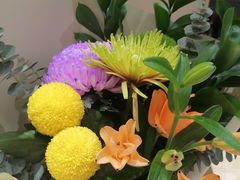 -双季花艺园艺市场(浦东店)