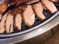 -守柴炉烤鸭(中海国际店)