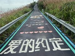 -东极岛景区