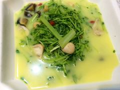 上汤豆苗-京味民福烤鸭店(建设四马路店)