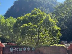 -赤水丹霞旅游区·佛光岩