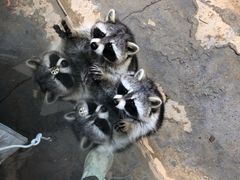 -杭州野生动物世界