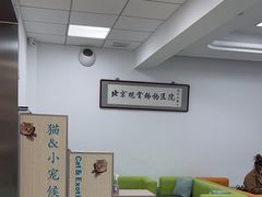 -北京观赏动物医院·24小时大型综合·猫专科·异宠专科