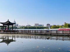 -莲花池公园