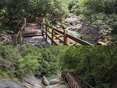 -广州白江湖森林公园