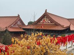 -开福禅寺