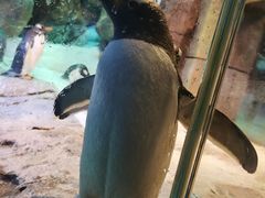-哈尔滨波塞冬海底世界