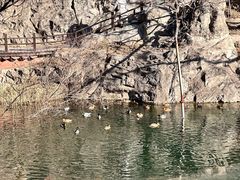 -国家植物园南园