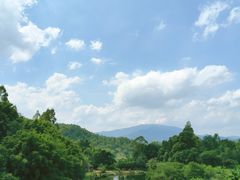 -天强农家菜馆