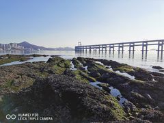 -黑石礁公园