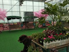 -天源吉布世温泉水乐园