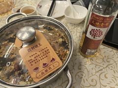 -百利鸽王(紫薇路店)