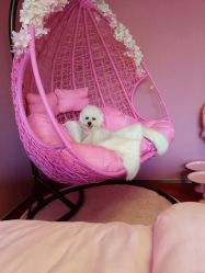 -Pink You美甲美睫纹绣定制中心