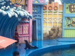 -华夏文旅海洋公园