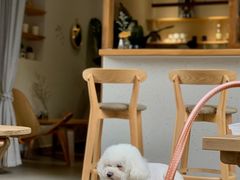 -infinite cafe