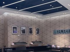 -知音艺术教育培训·钢琴培训·音乐培训(河西金鹰世界校区)