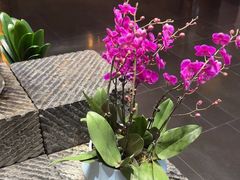 -黔蘑菇四季餐厅(观山湖店)