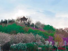 -山东理工大学