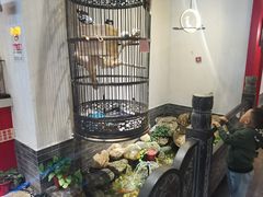 -清真·京华源铜锅涮肉(丰庆店)