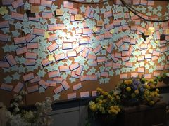 -长藤鬼校(龙翔店)