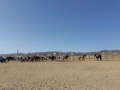-青海湖国家重点风景名胜区
