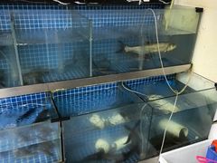 -老客家美食• 竹筒饭• 河鲜(龙门永汉店)