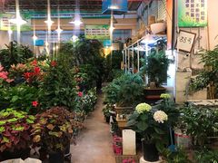 -双季花艺园艺市场(浦东店)