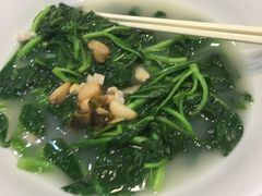 -顺德了能馆(虎门店)