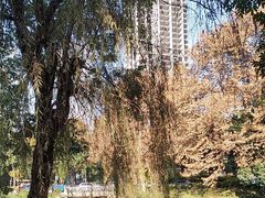 -沙河三洞古桥公园