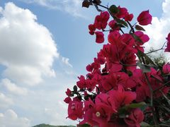-凤岗南门山森林公园