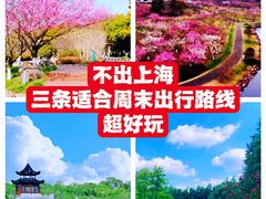 -营地公园·团建拓展·亲子户外(奉贤店)