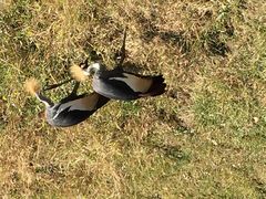 iphone_upload_pic-武清南湖绿博园