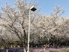 -白塘生态植物园